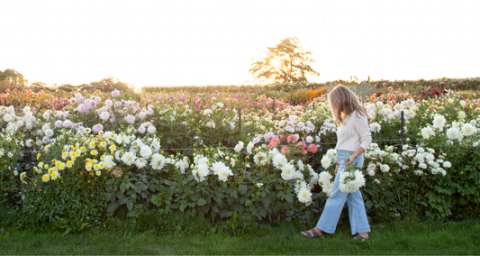 Beauty: A Necessity, Not a Luxury