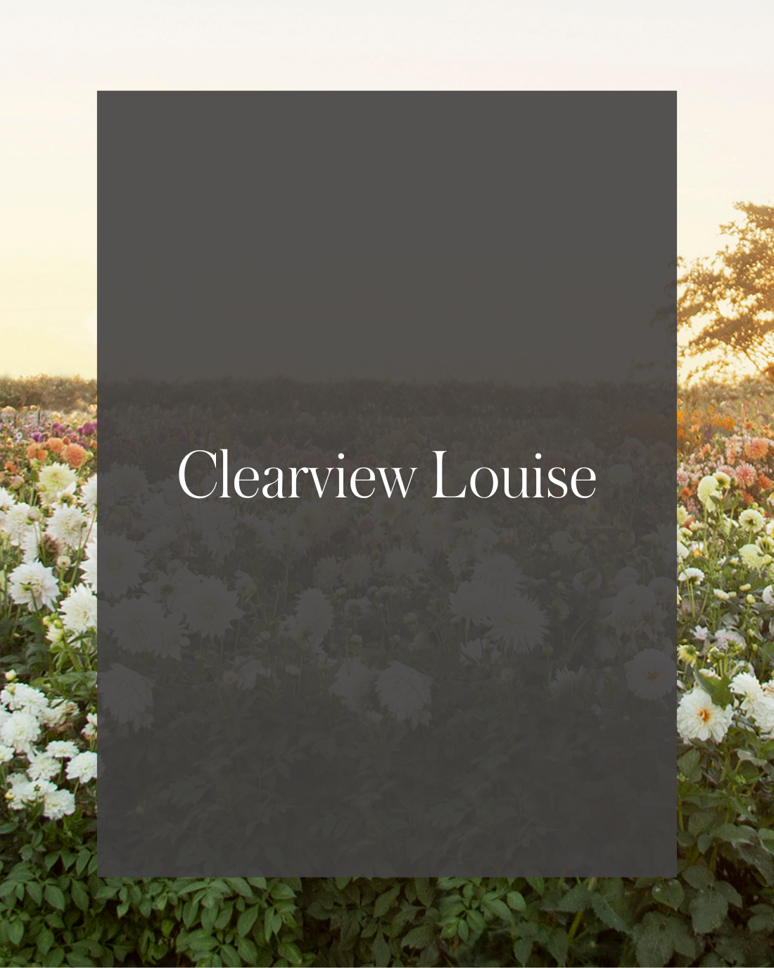 Clearview Louise