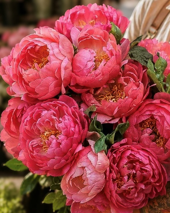 A close-up of a bouquet of vibrant pink Pink Hawaiian Coral peony flowers with green leaves and yellow-orange centers, set against a softly blurred background.