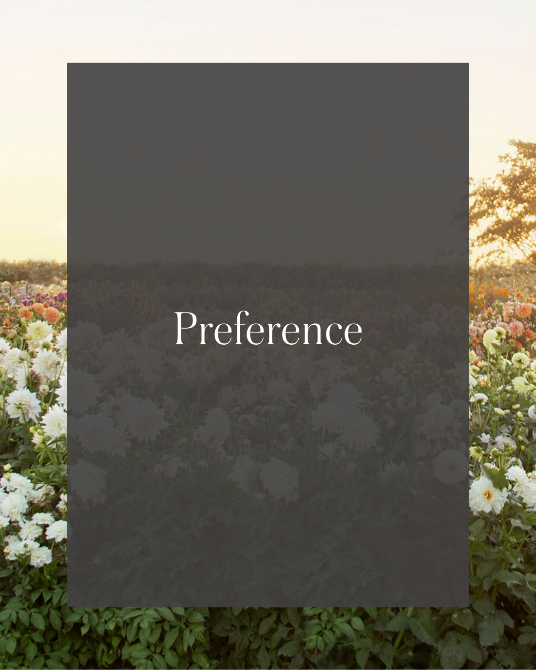 Preference