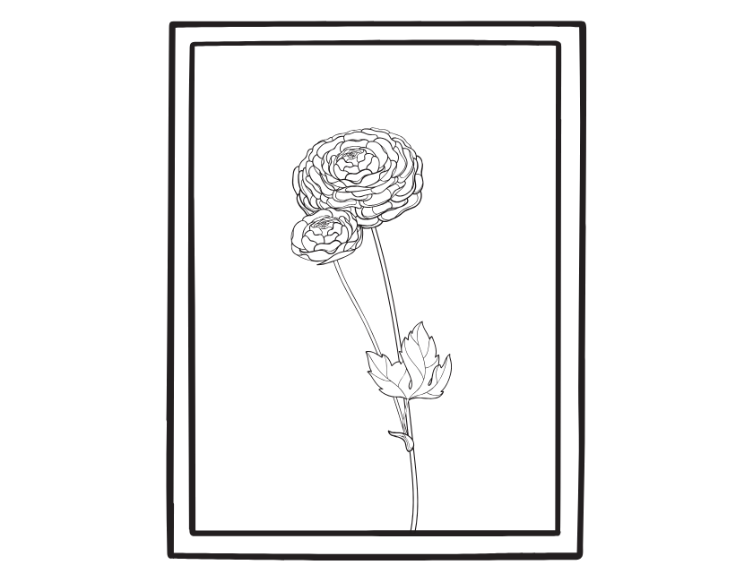 Art & Mirrors icon