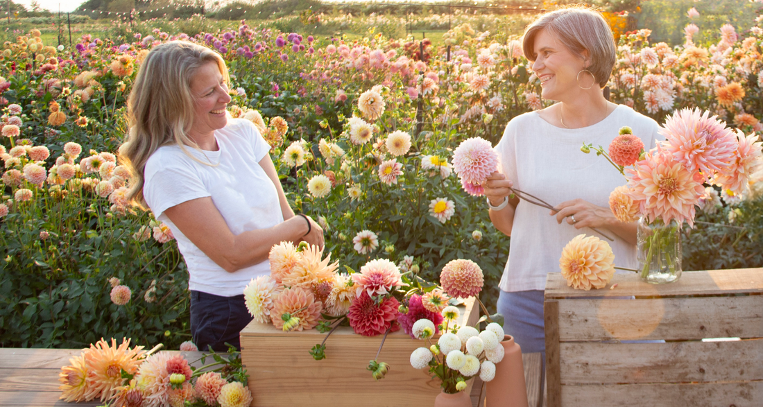 Generosity: Lessons from the Garden
