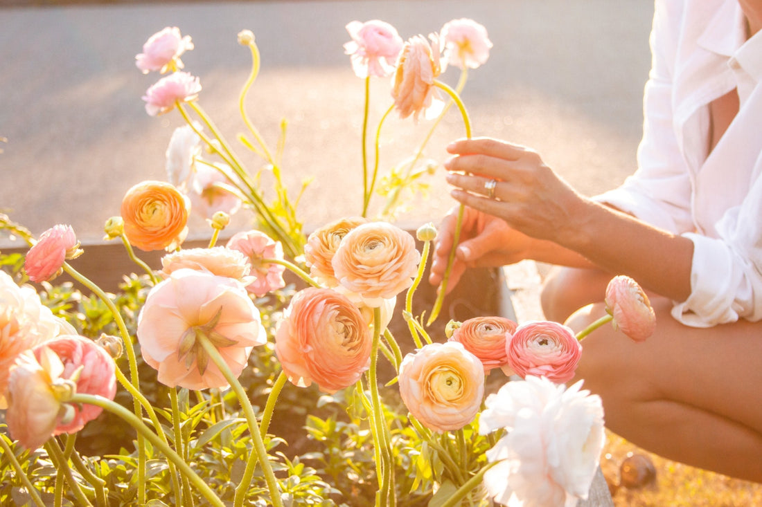 My Top 5 Tips for Growing Gorgeous Ranunculus