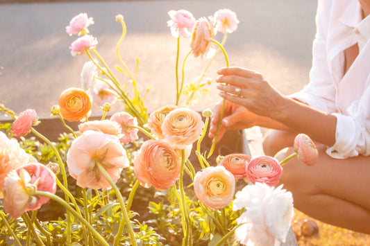 My Top 5 Tips for Growing Gorgeous Ranunculus