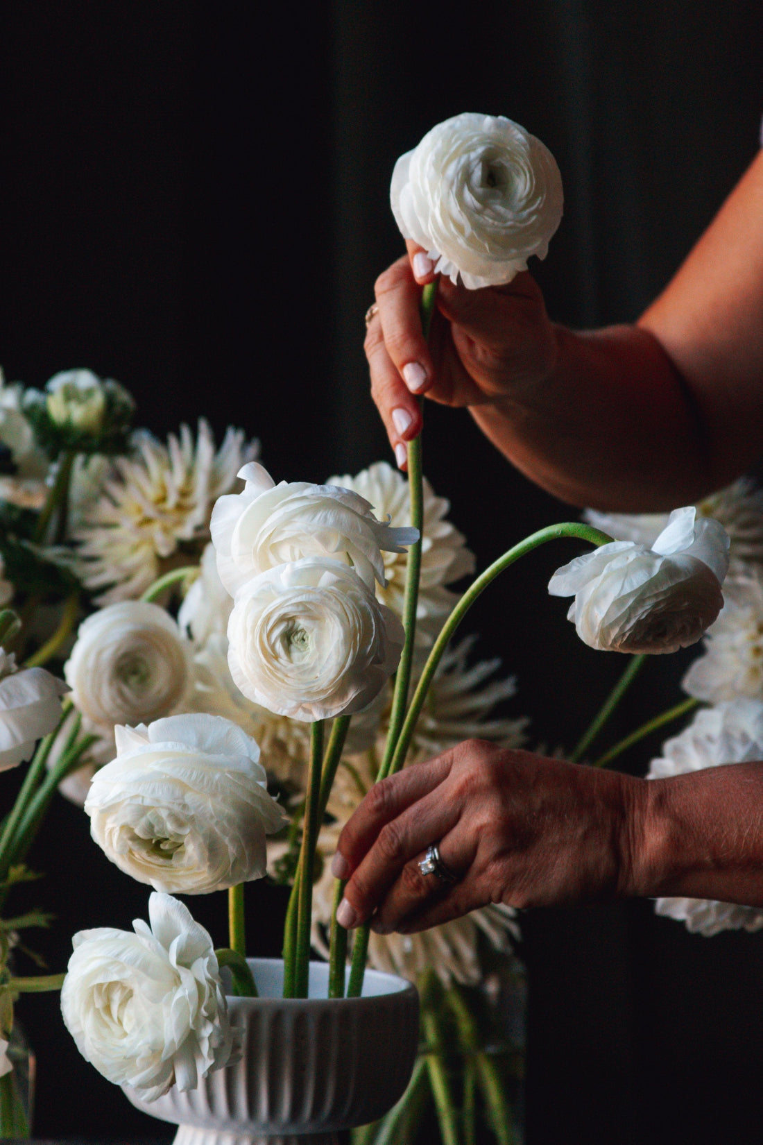 How Do I Extend The Vase Life of My Anemone & Ranunculus?