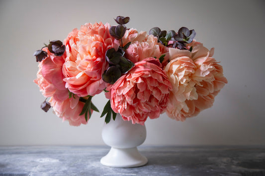 When to Plant Peony Roots (and How Long Until They Bloom?)