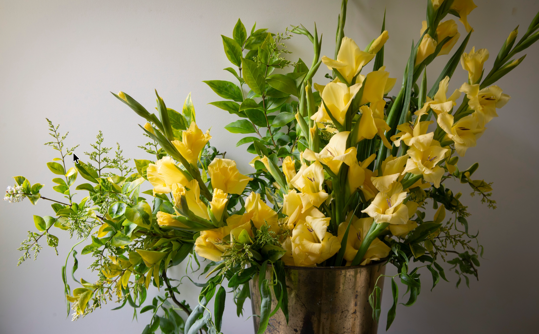 4 Reasons to Fall in Love with Gladiolus