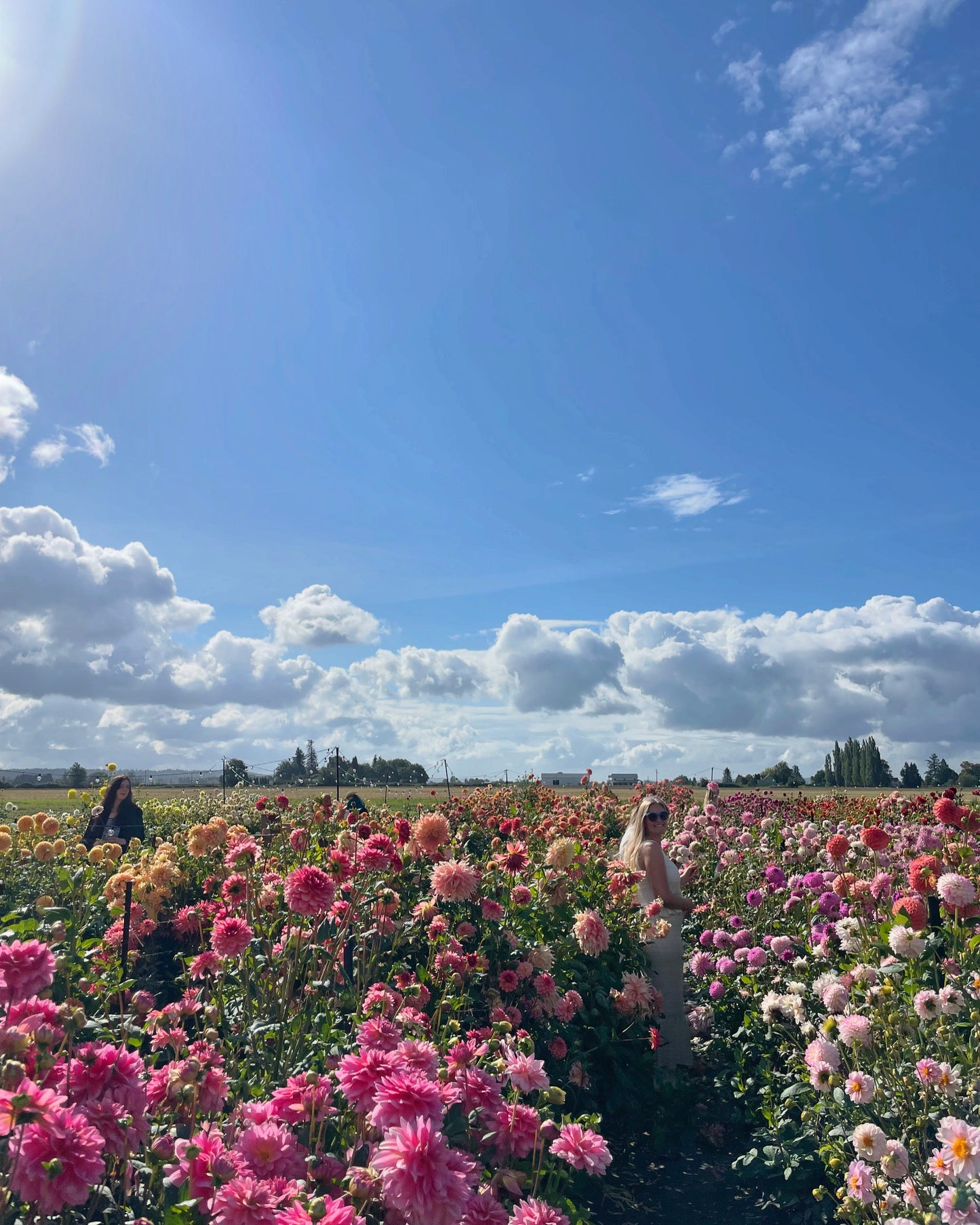 Flower Field Day: SUNDAY 1PM or 3:30PM