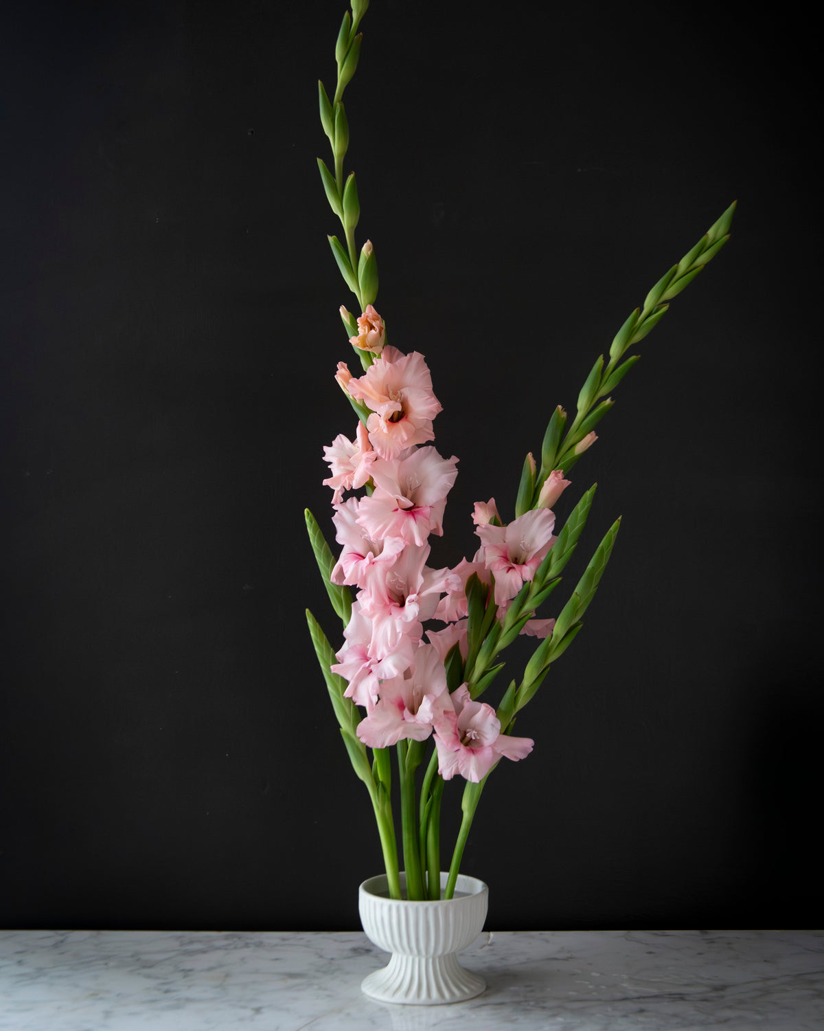 A floral arrangement of pink gladiolus stems in a small white pedestal vase, set against a dark black background on a light marble surface.