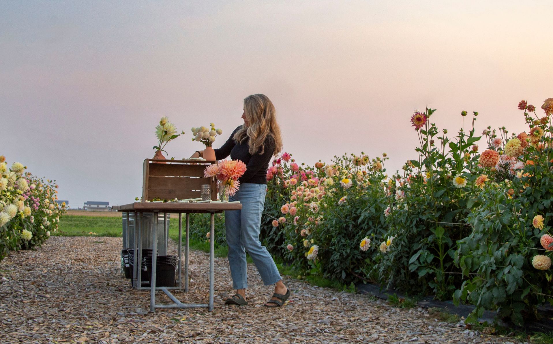 Woman arranging flowers in a field with a sunset sky