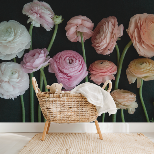 Ranunculus Dolce Amor Wallpaper Mural