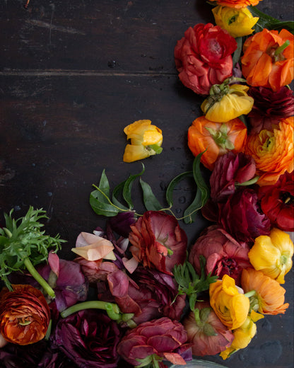 A styled flat-lay of fresh ranunculus flowers in vibrant orange, yellow, and deep burgundy-red tones, scattered across a dark rustic wooden surface next to a clear glass jar.