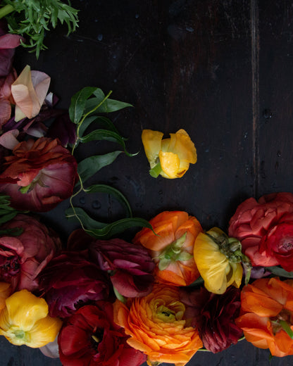 Colorful flowers arranged in a circular pattern on a dark background