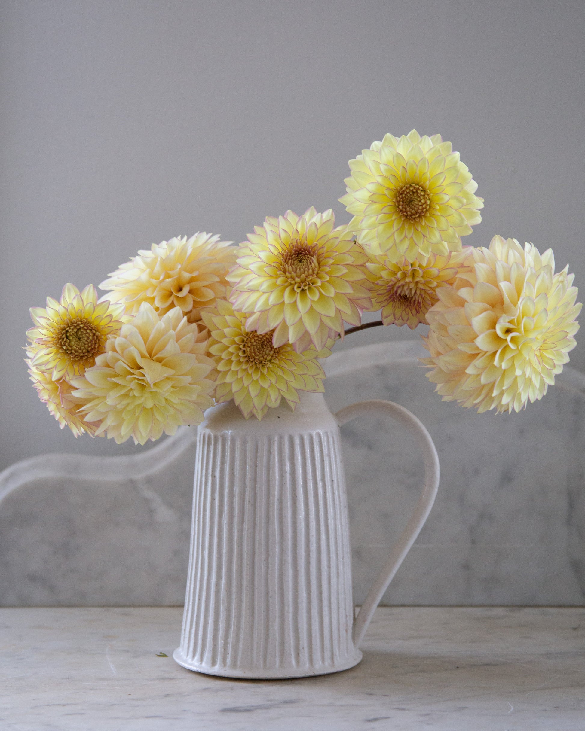 White ceramic pitcher with yellow flowers on a marble surface