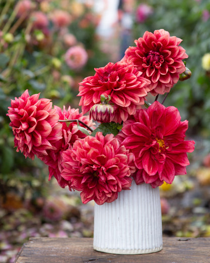 Red flowers in a white vase on a wooden surface with a blurred natural background