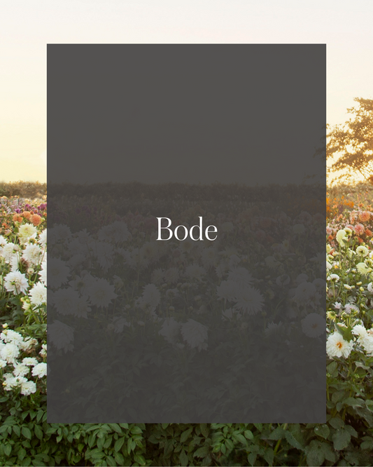 Bode