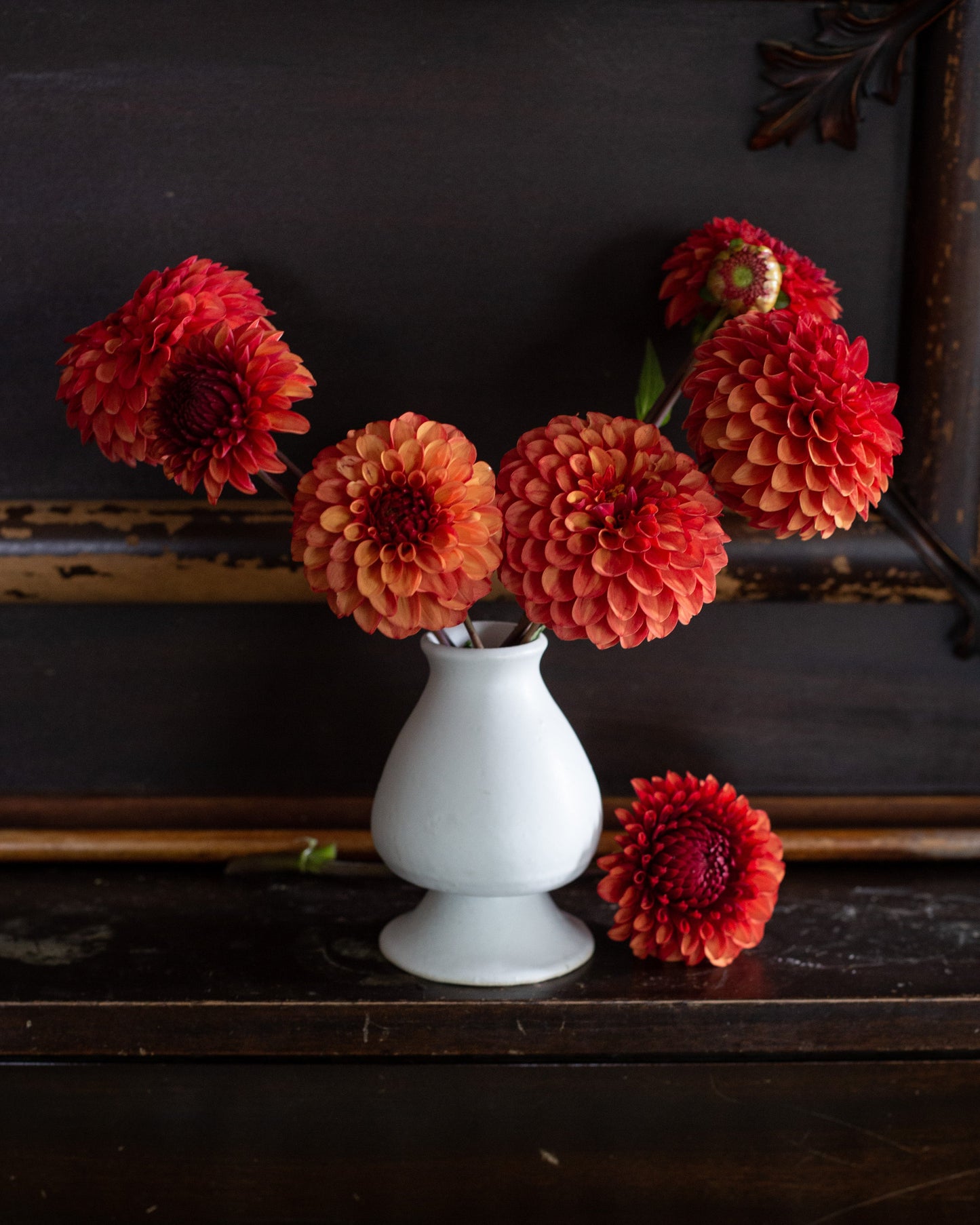 White vase with red and orange flowers on a dark wooden surface
