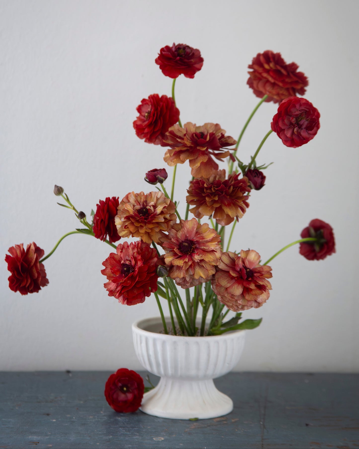 Bouquet of red and brown flowers in a white vase against a light gray background