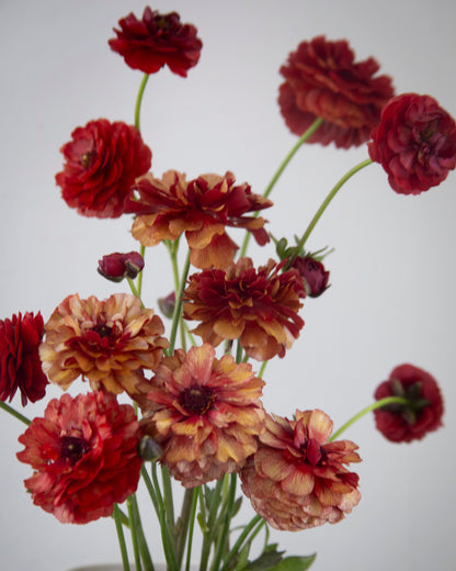 Bouquet of red and orange flowers in a white vase against a light gray background