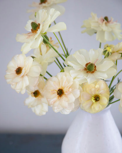 White flowers in a white vase against a neutral background