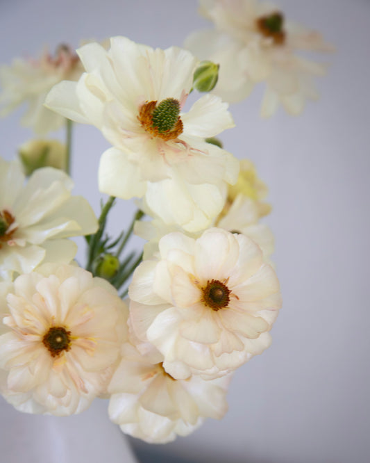 White flowers in a vase against a blurred background