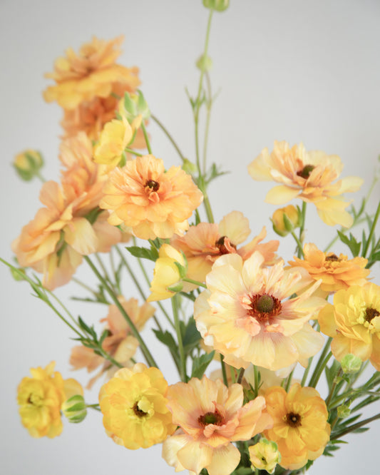 Bouquet of yellow flowers in a white vase on a light gray background
