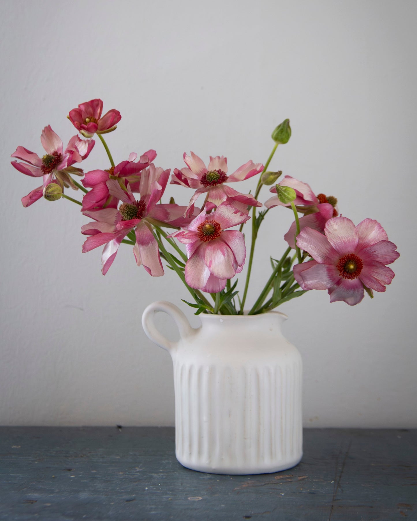White vase with pink flowers against a plain background