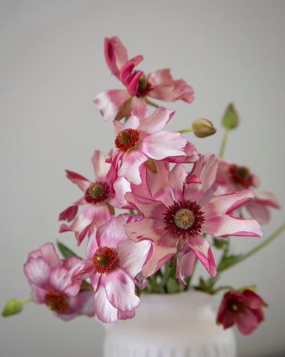 Pink and white flowers in a white vase against a plain background