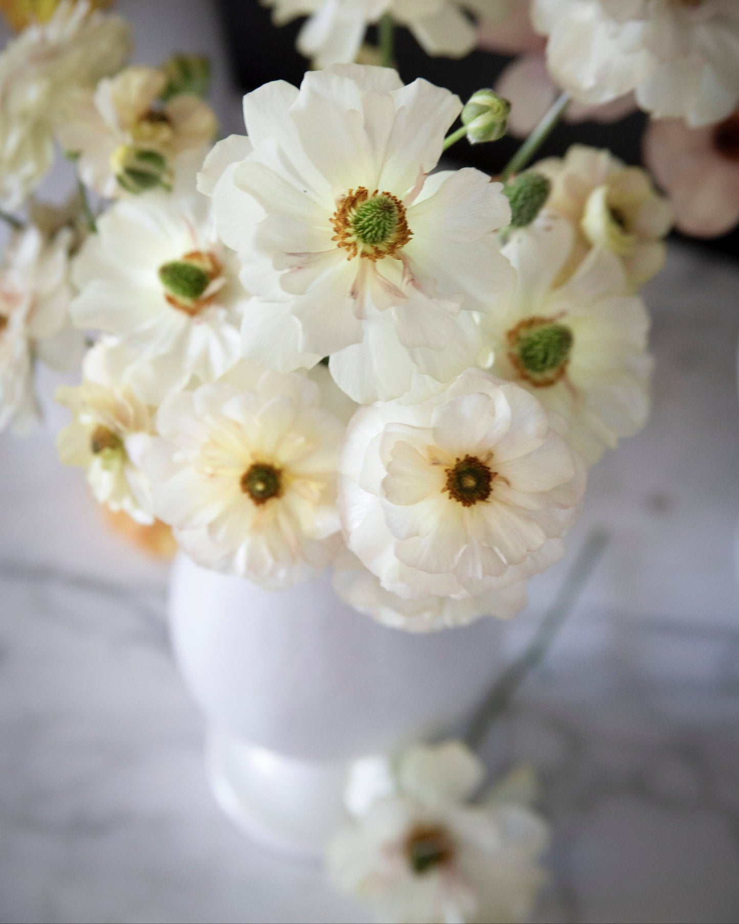 White flowers in a vase on a marble surface