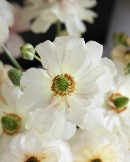 White flowers in a vase on a marble surface