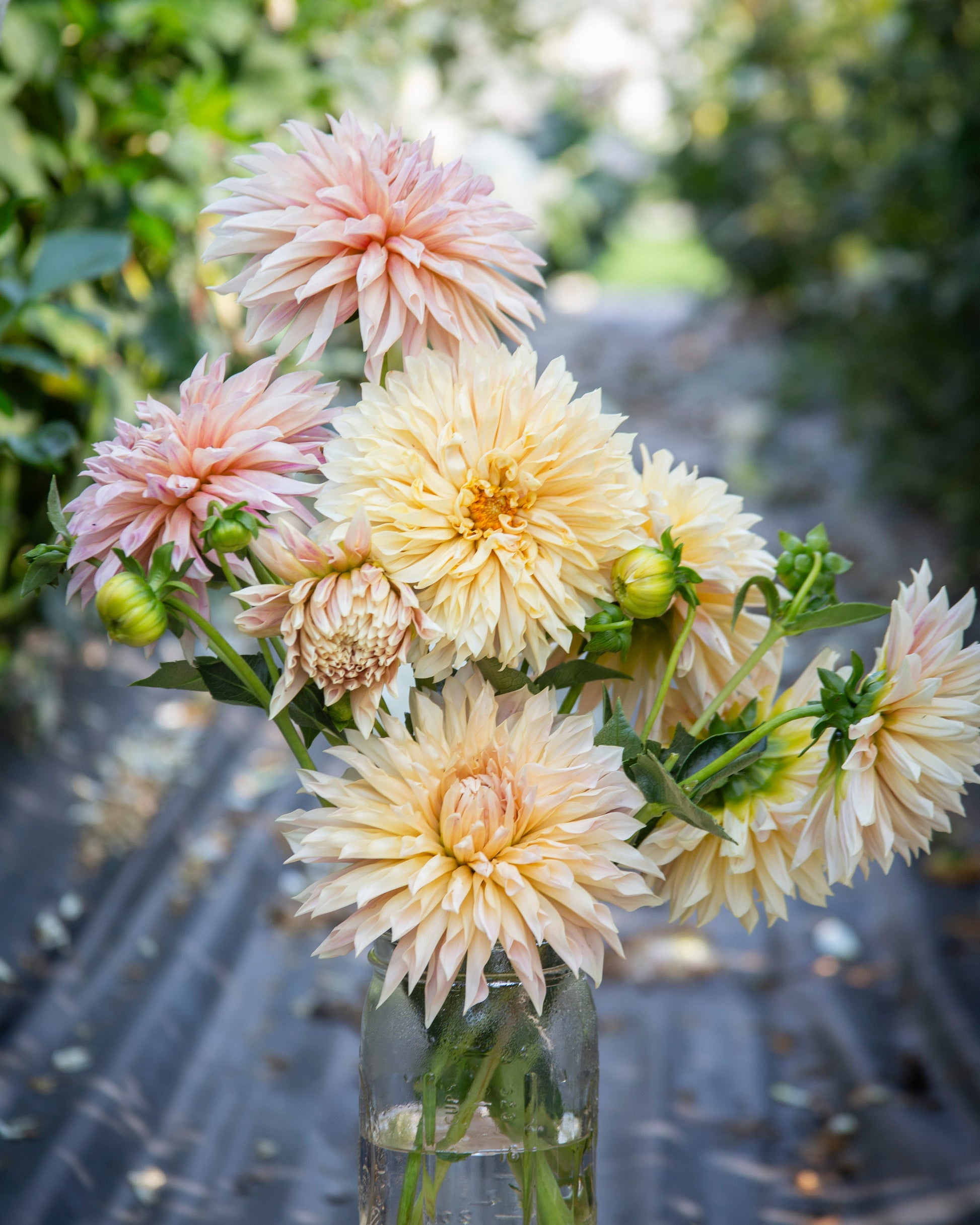 Bouquet of large flowers in a clear vase on a wooden surface with a blurred natural background