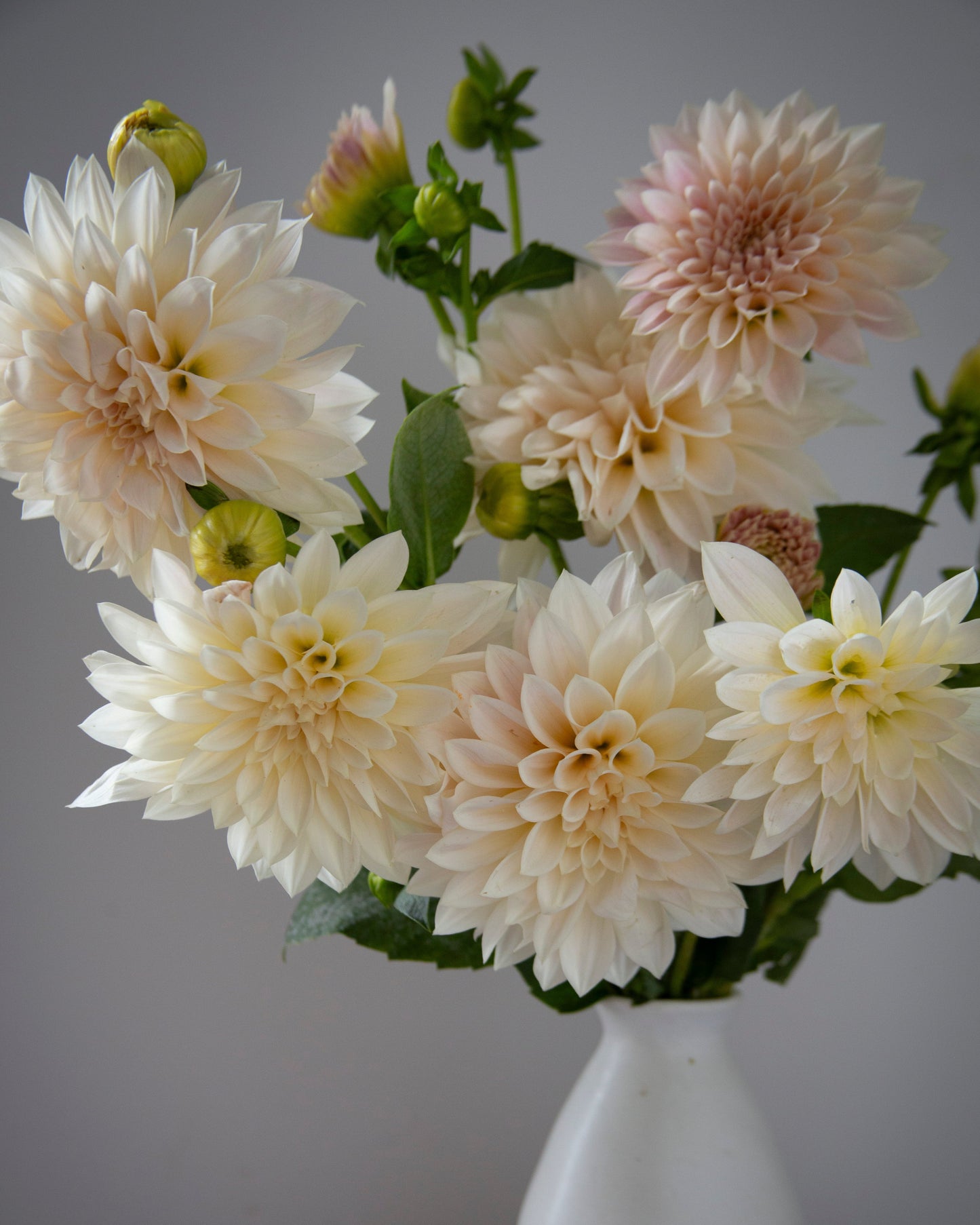 Bouquet of light-colored flowers in a white vase against a plain background