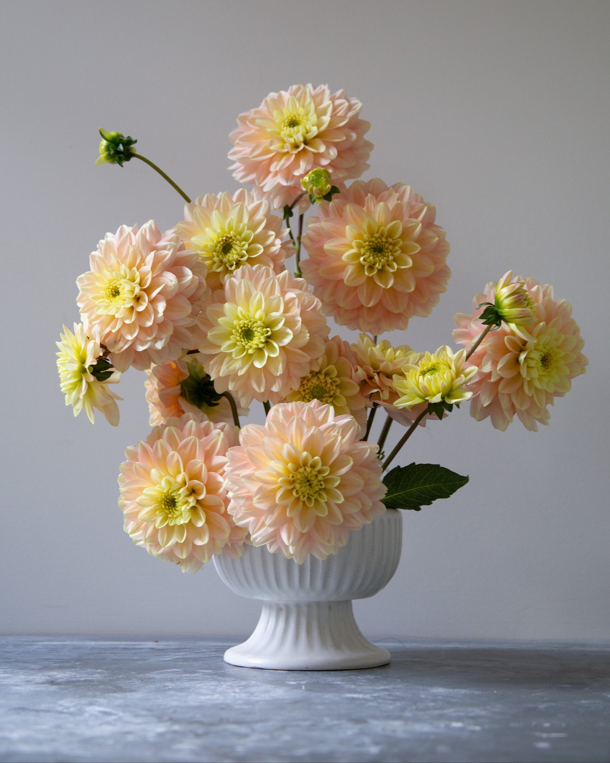 Bouquet of peach-colored flowers in a white vase on a gray surface with a light gray background