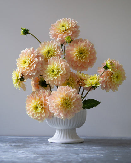 Bouquet of peach-colored flowers in a white vase on a gray surface with a light gray background