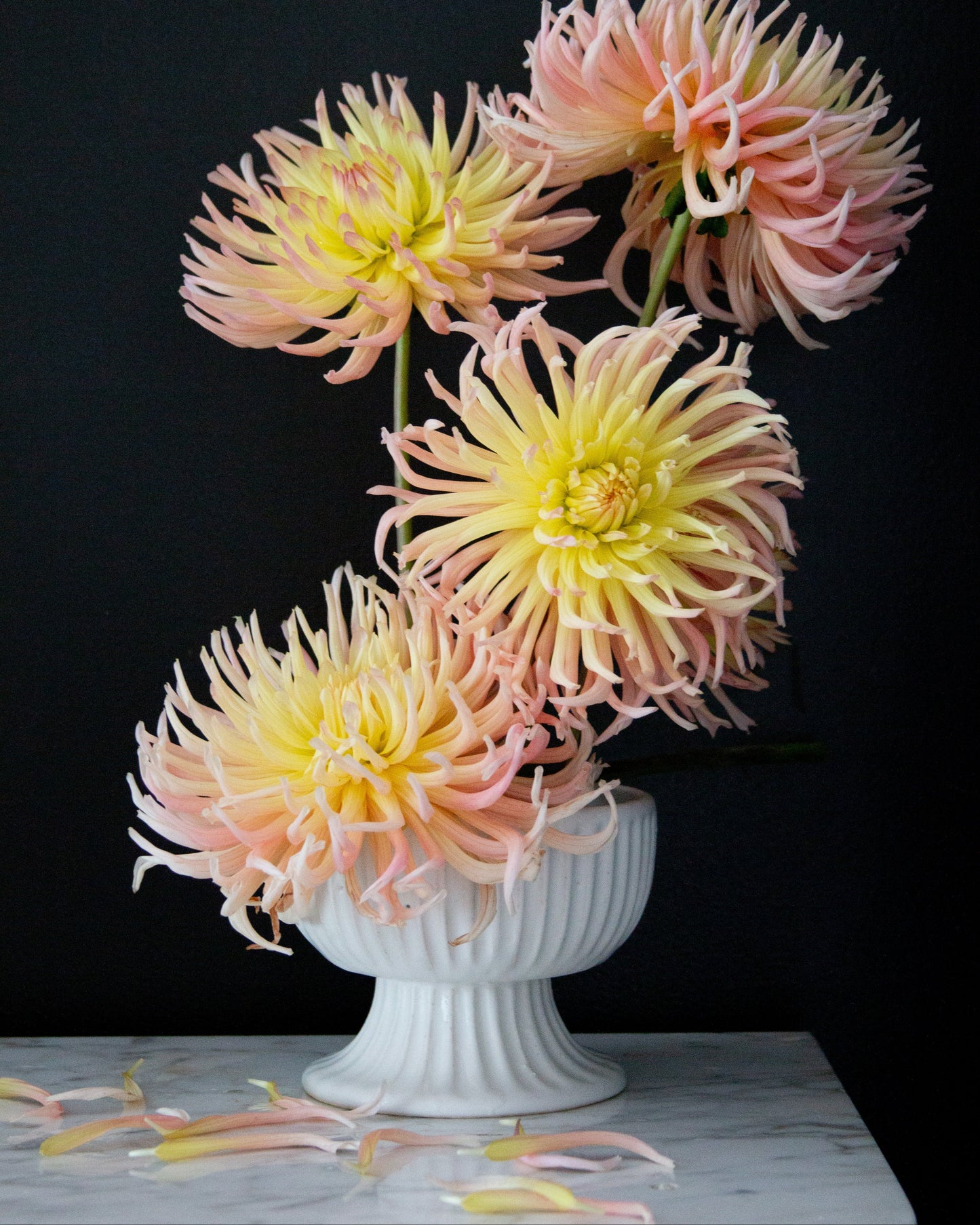 Bouquet of pink and yellow flowers in a white vase on a dark background