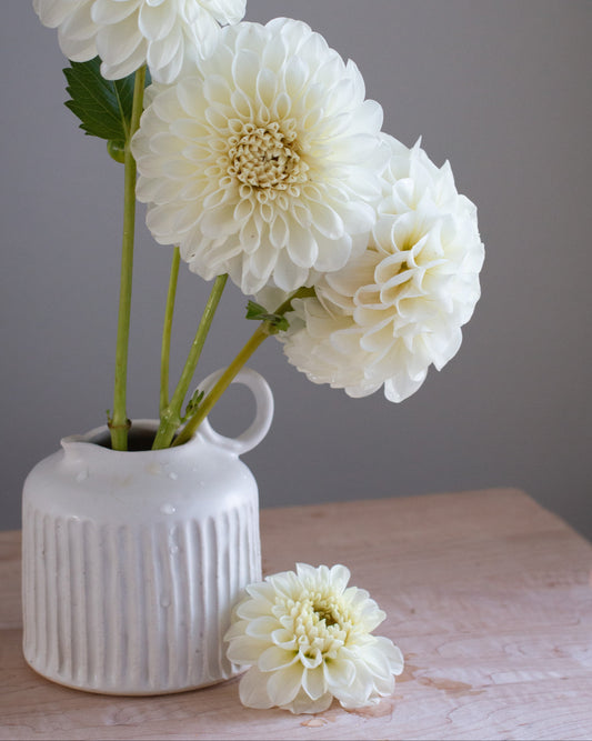 White flowers in a white vase on a wooden surface with a gray background