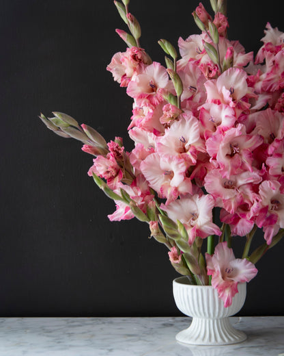 Pink and white gladiolus flowers arranged in a white ribbed pedestal vase against a dark charcoal background.