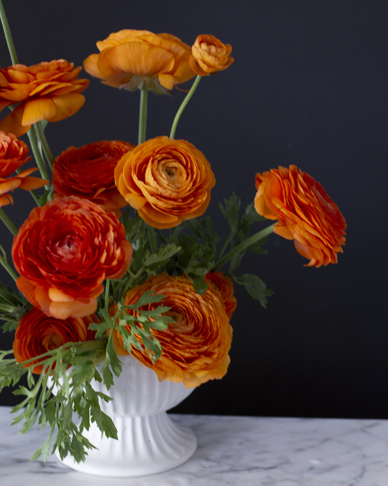 Orange ranunculus in a bouquet on a marble table against a black background