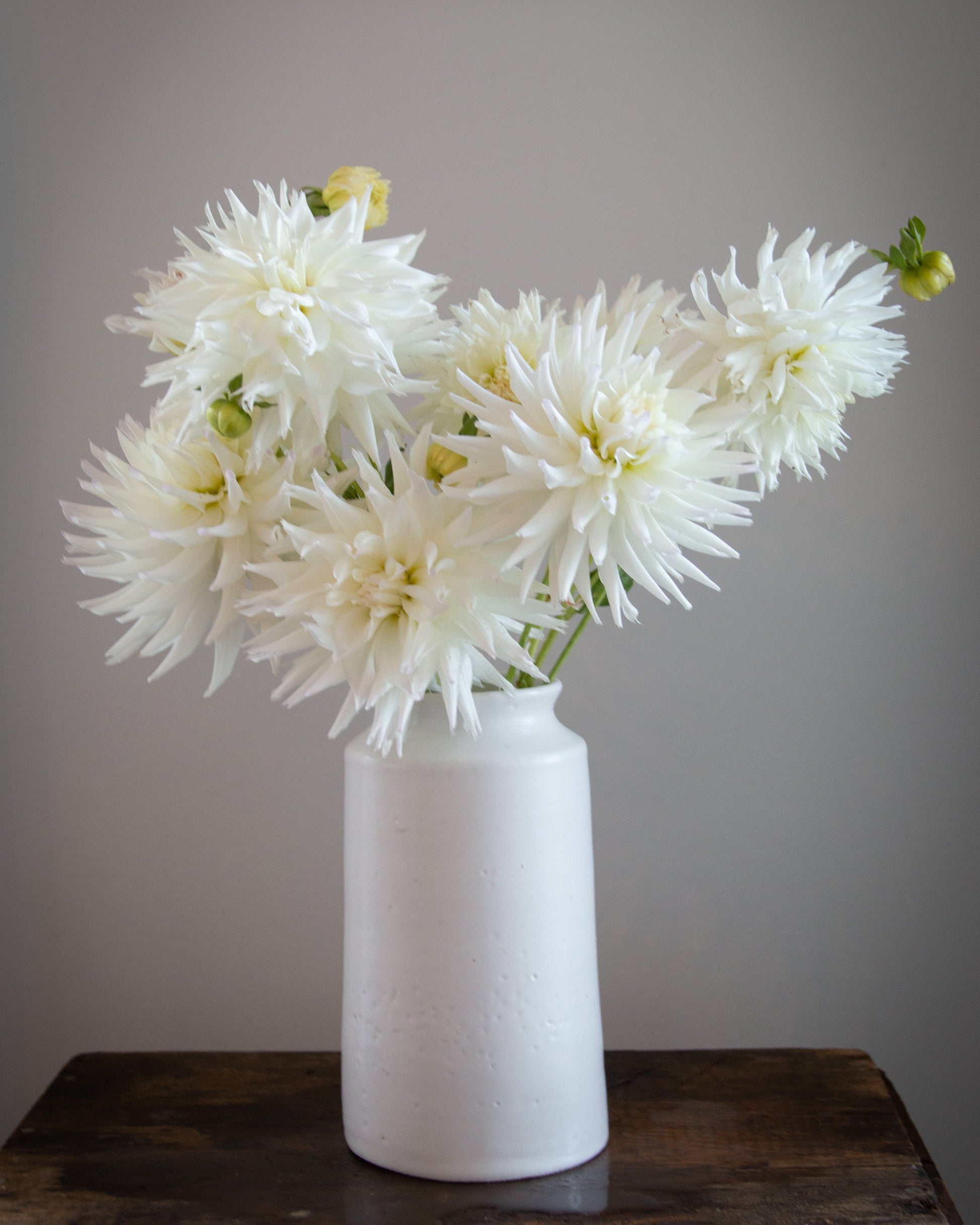 White flowers in a white vase on a wooden surface with a gray background