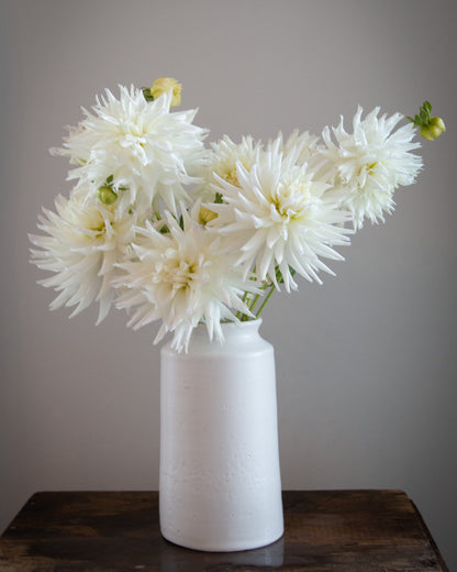 White flowers in a white vase on a wooden surface with a gray background