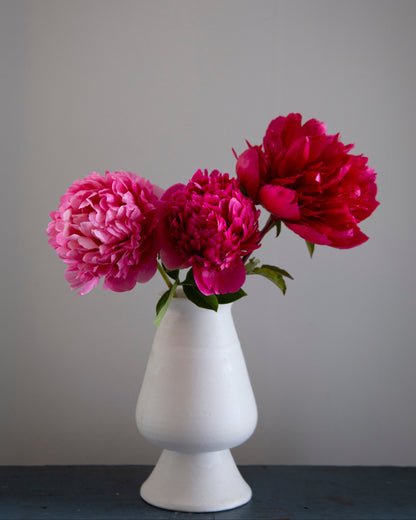 Three vibrant pink Command Performance peony flowers with green leaves arranged in a white ceramic vase, set against a plain gray wall.