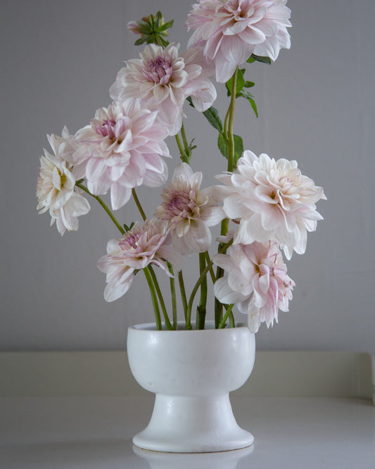 White vase with pink flowers on a gray background