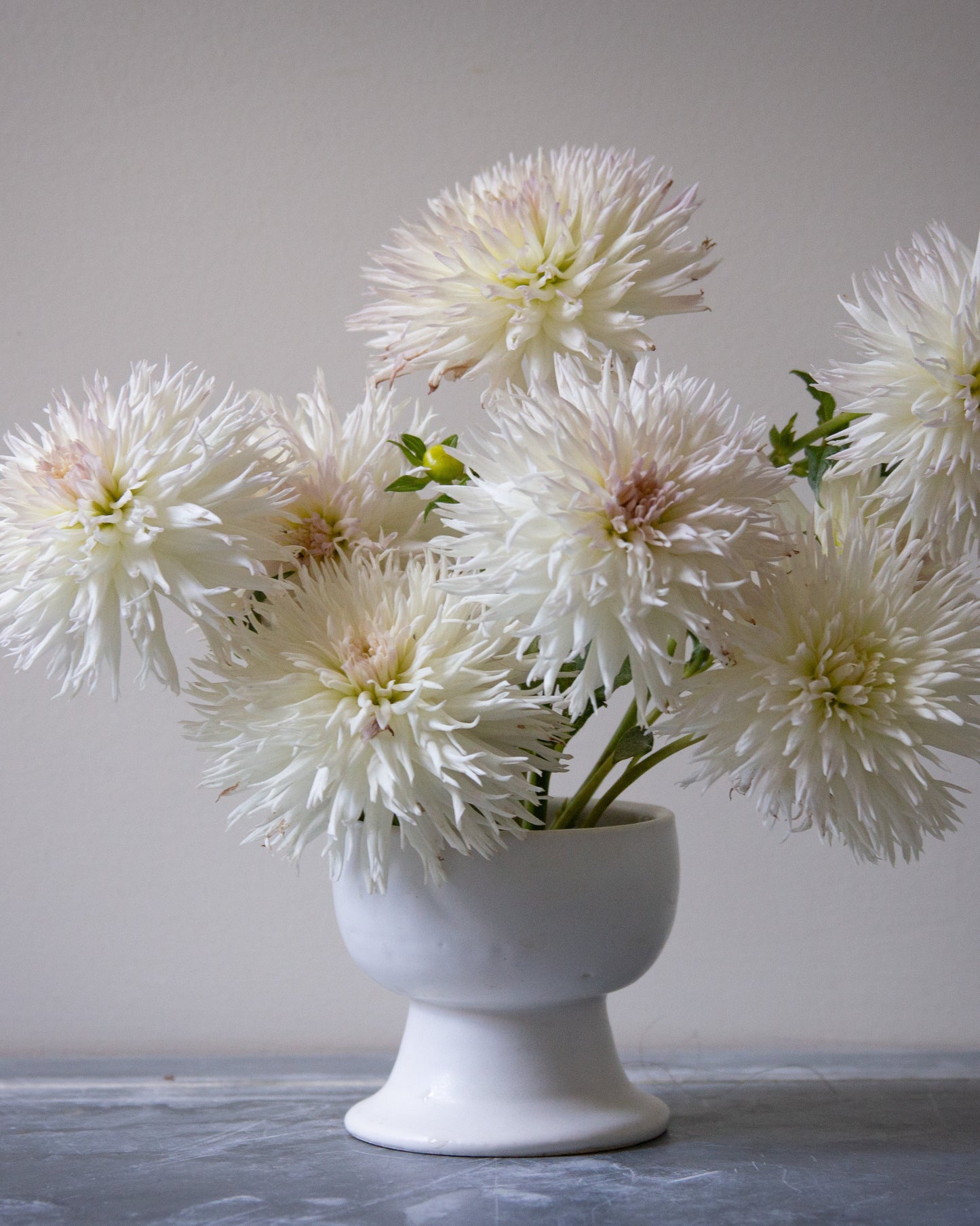 White flowers in a white vase on a gray surface with a neutral background