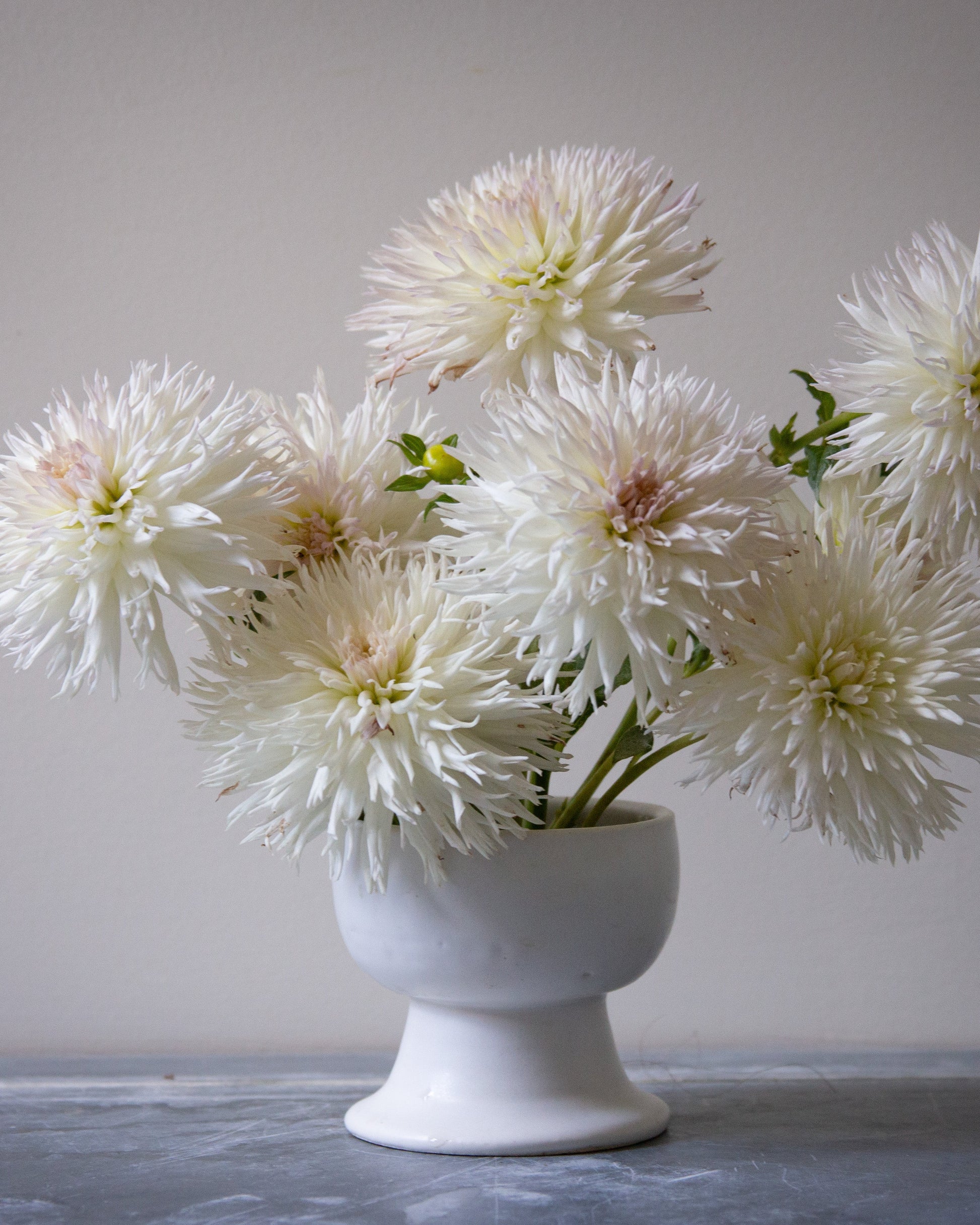 White flowers in a white vase on a gray surface with a neutral background
