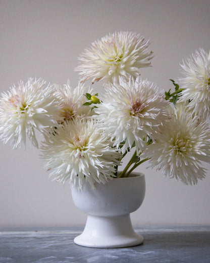 White flowers in a white vase on a gray surface with a neutral background