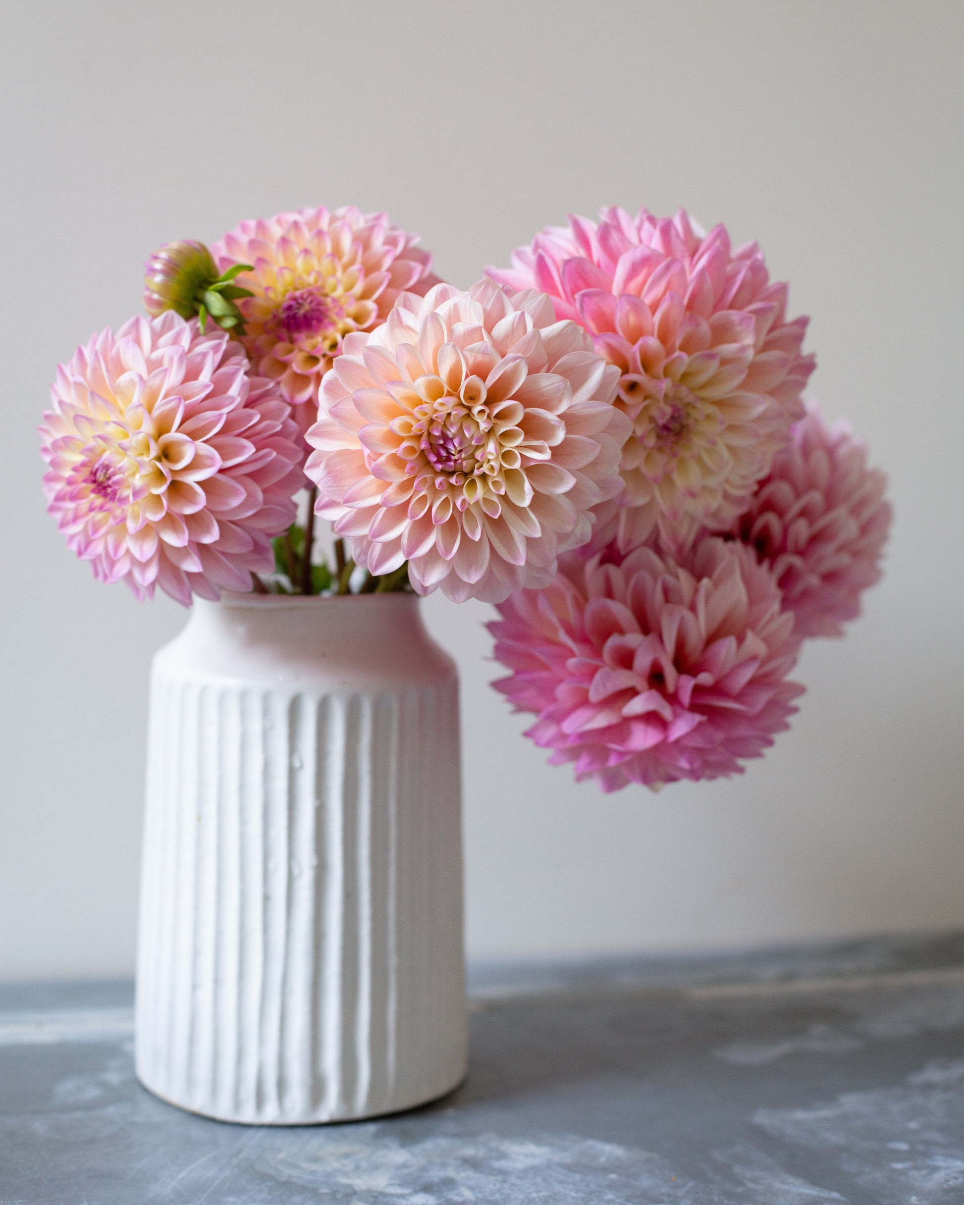 White vase with pink and beige flowers on a gray surface