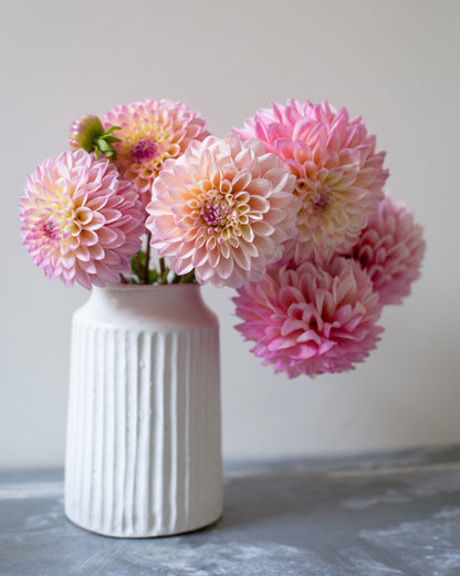 White vase with pink and beige flowers on a gray surface