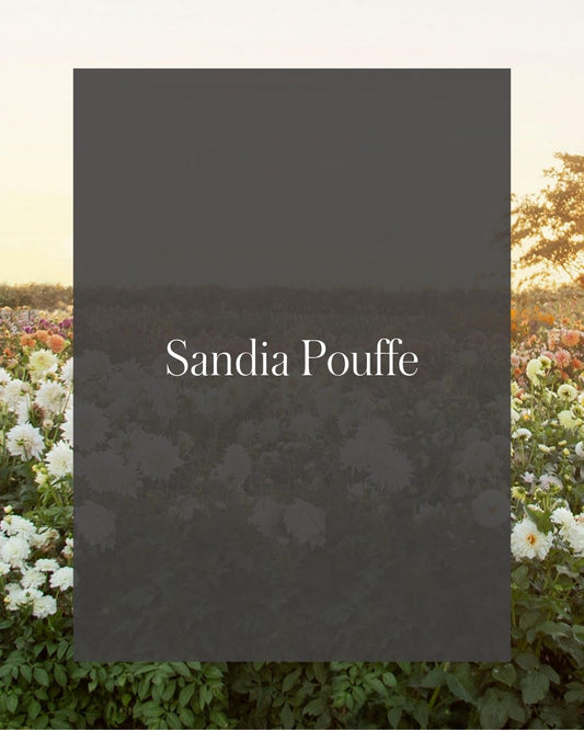 Sandia Pouffe (Cutting)