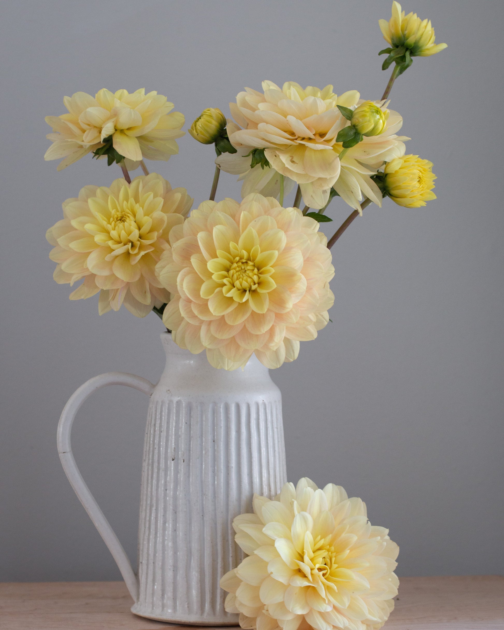 White vase with yellow flowers on a wooden surface against a gray background