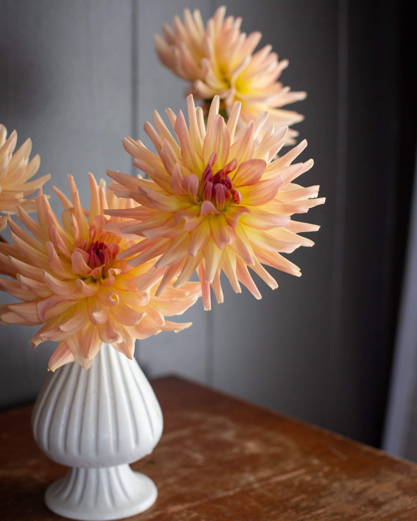 White vase with peach-colored flowers on a wooden surface against a gray wall.